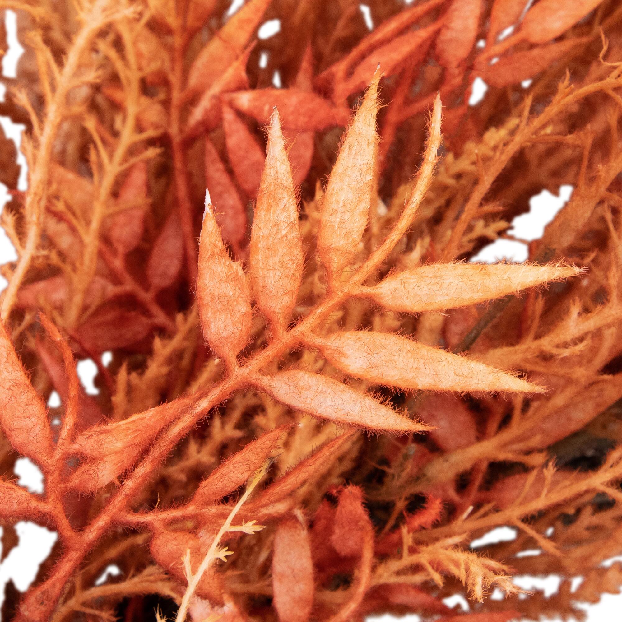 24" Peachy Pampas Grass Artificial Fall Harvest Wreath
